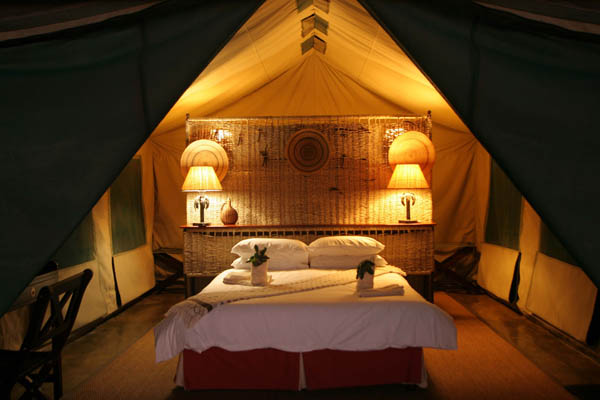 Pom Pom Camp