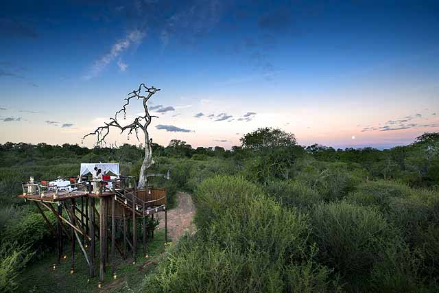 Lion Sands Tree House